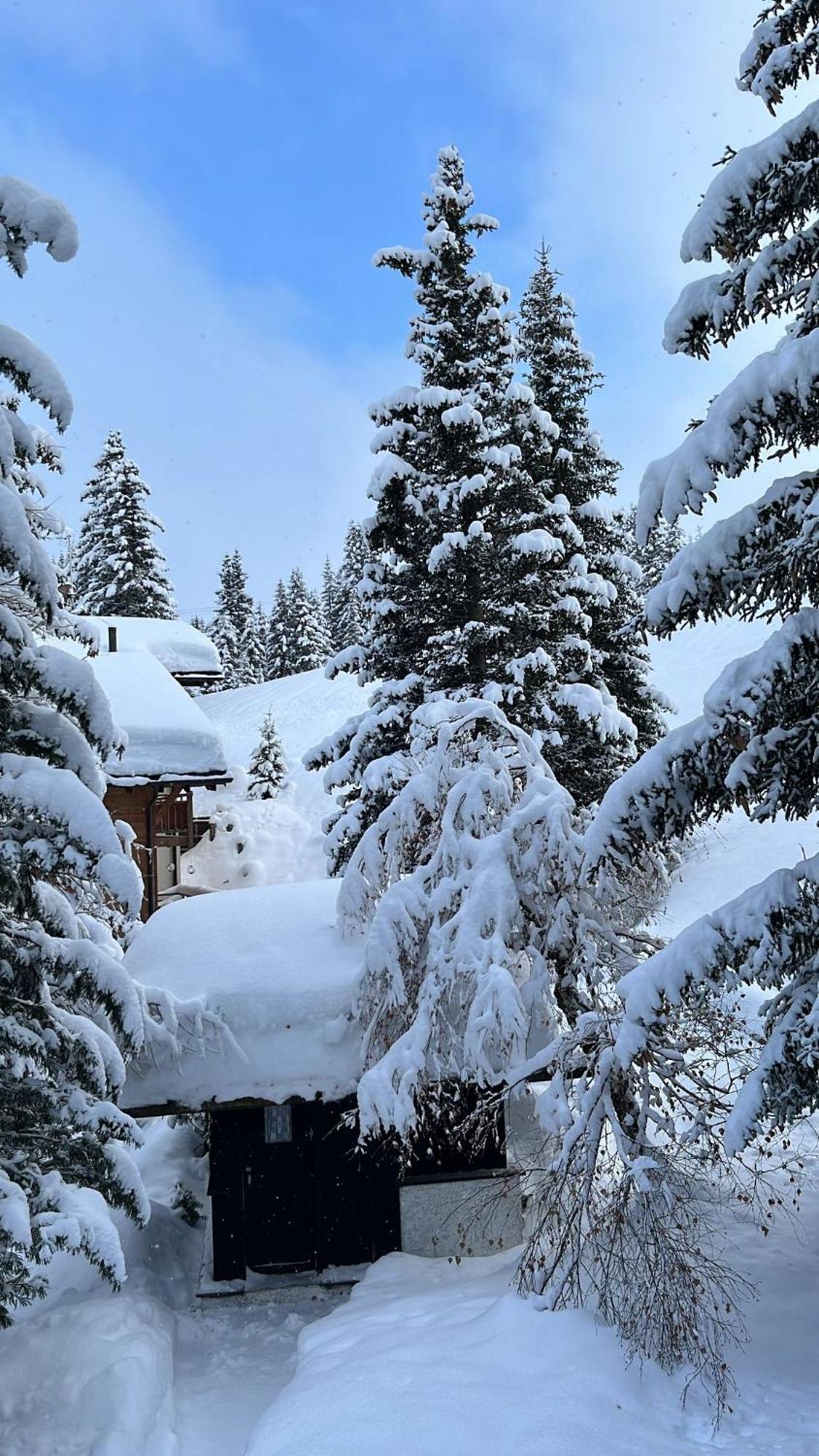 Chalet Baur Arosa Buitenkant foto